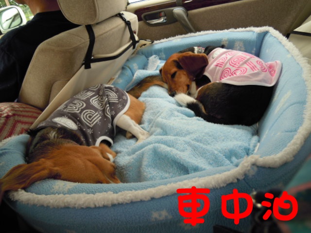 c0166622_1164914.jpg