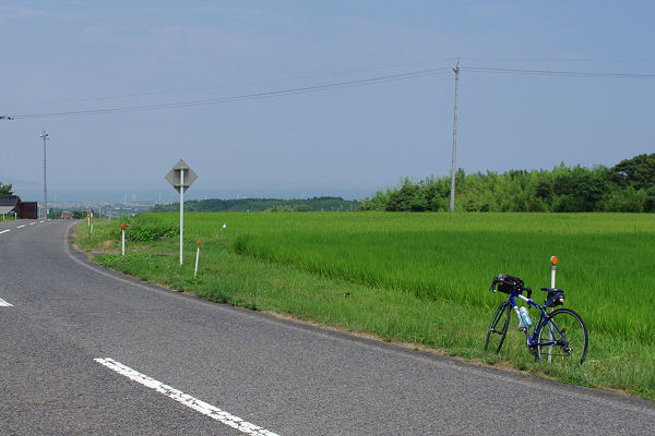 f0007926_17145795.jpg