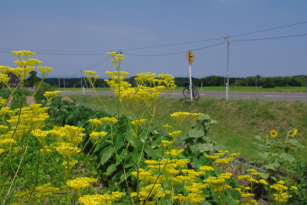 f0007926_17162377.jpg