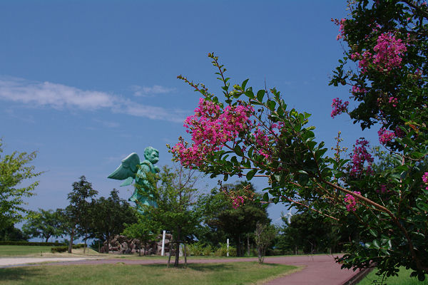 f0007926_1720194.jpg