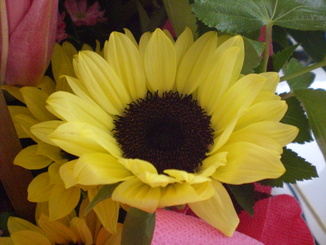 c0201427_2112506.jpg