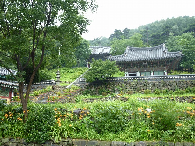 a0154329_16263714.jpg