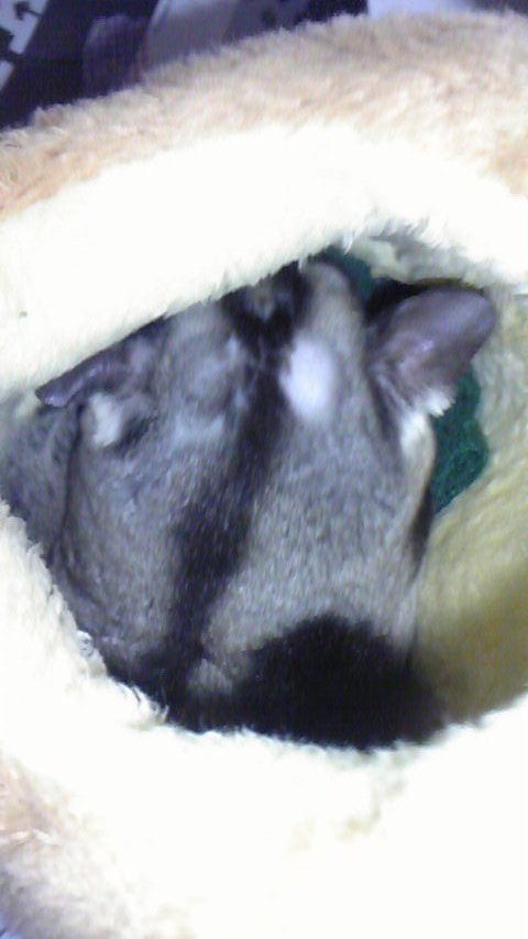 c0218031_0105537.jpg
