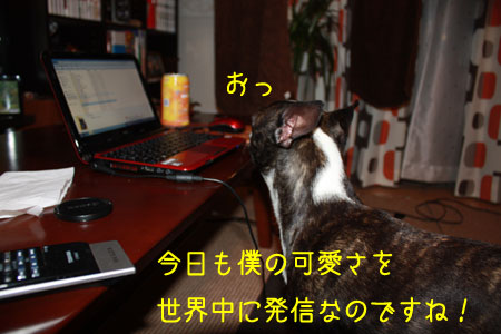 a0190132_22465683.jpg