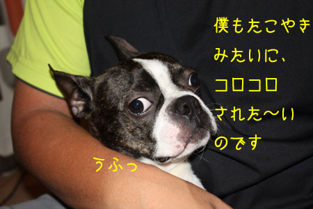 a0190132_2255050.jpg