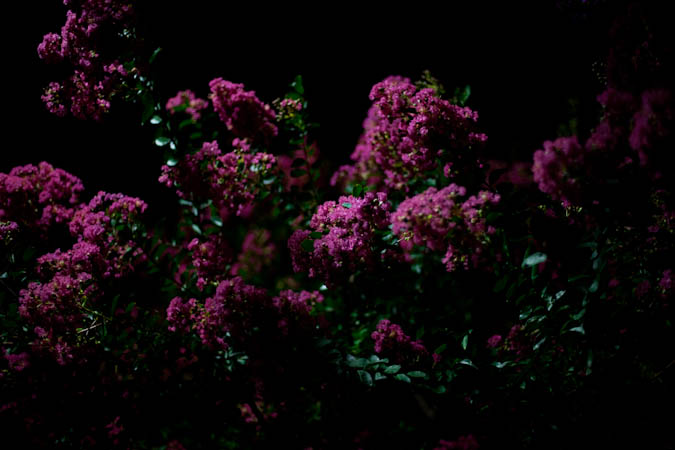 d0139939_20282176.jpg