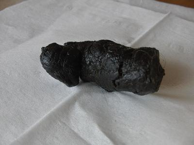 f0186040_275848.jpg