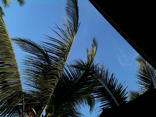 d0240442_757156.jpg