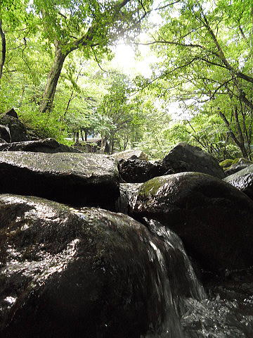 f0094843_113113.jpg