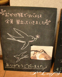 c0176651_11245796.gif