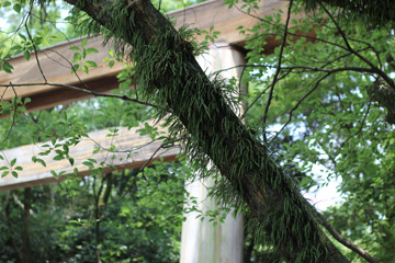 a0001756_23162742.jpg
