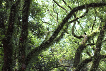 a0001756_23282581.jpg