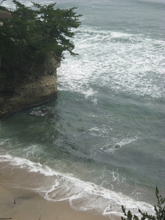 a0021558_204508.jpg