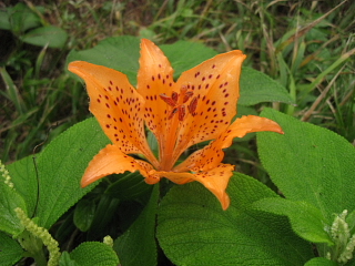 a0021558_20591936.jpg