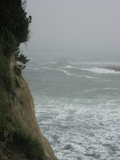 a0021558_21524285.jpg