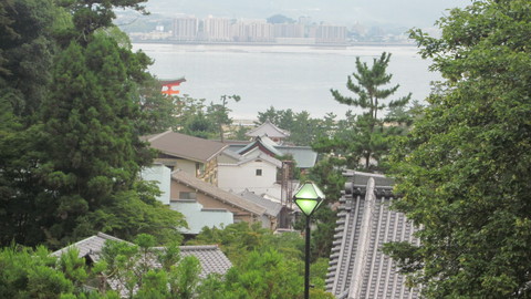 a0186159_822529.jpg