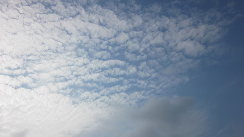 a0186159_8233859.jpg