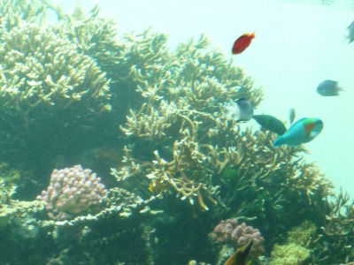 e0159865_23275945.jpg