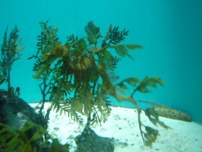 e0159865_23282949.jpg