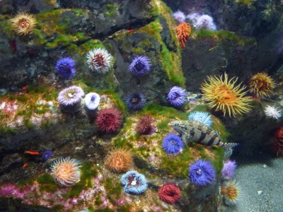 e0159865_23284379.jpg