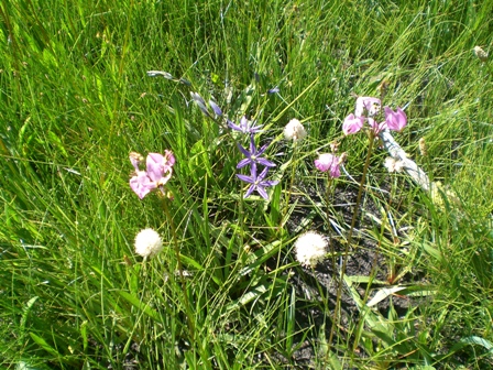 c0187677_20325675.jpg