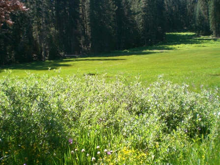 c0187677_20372632.jpg