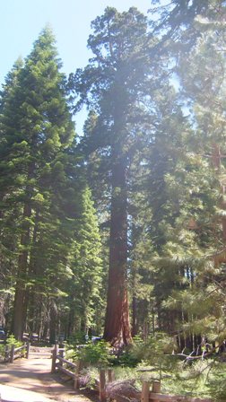 c0187677_20393272.jpg
