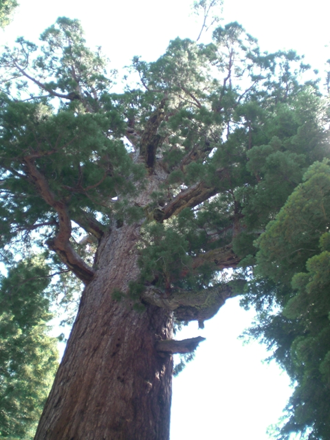 c0187677_20524475.jpg