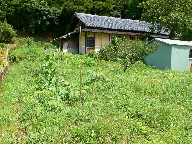 b0042882_119828.jpg