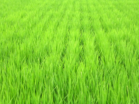 c0125283_211649.jpg