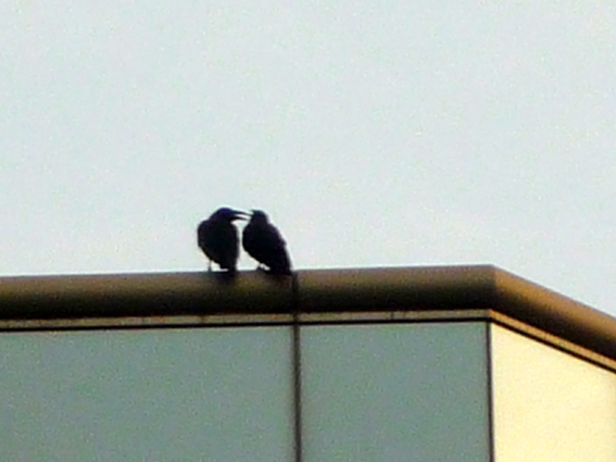c0125283_21324100.jpg