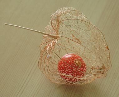 e0130185_125674.jpg