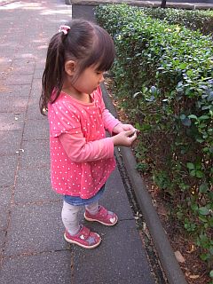 f0169885_21543339.jpg