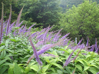 c0018489_045028.jpg
