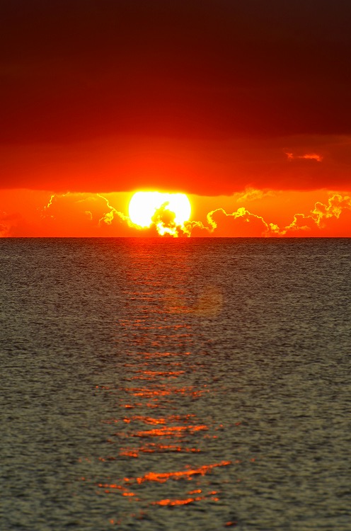 d0020791_23302287.jpg