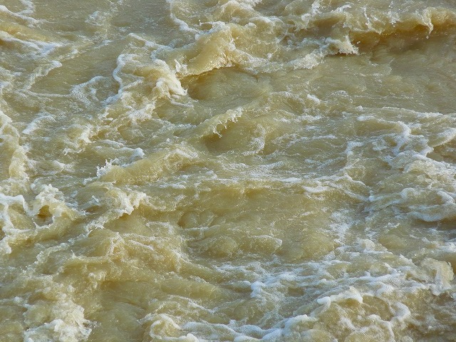 e0202393_18175796.jpg