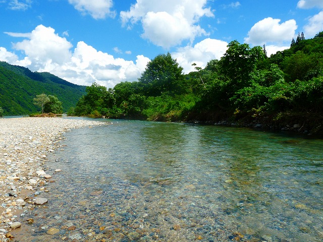 e0202393_7591043.jpg