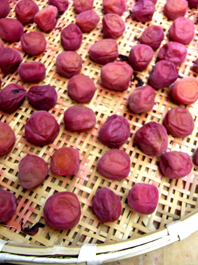 c0203899_1742189.jpg