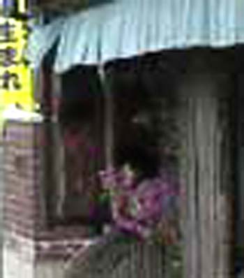e0103408_0595143.jpg