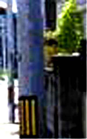 e0103408_17124524.jpg
