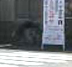 e0103408_17483199.jpg