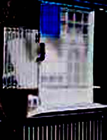 e0103408_1750642.jpg