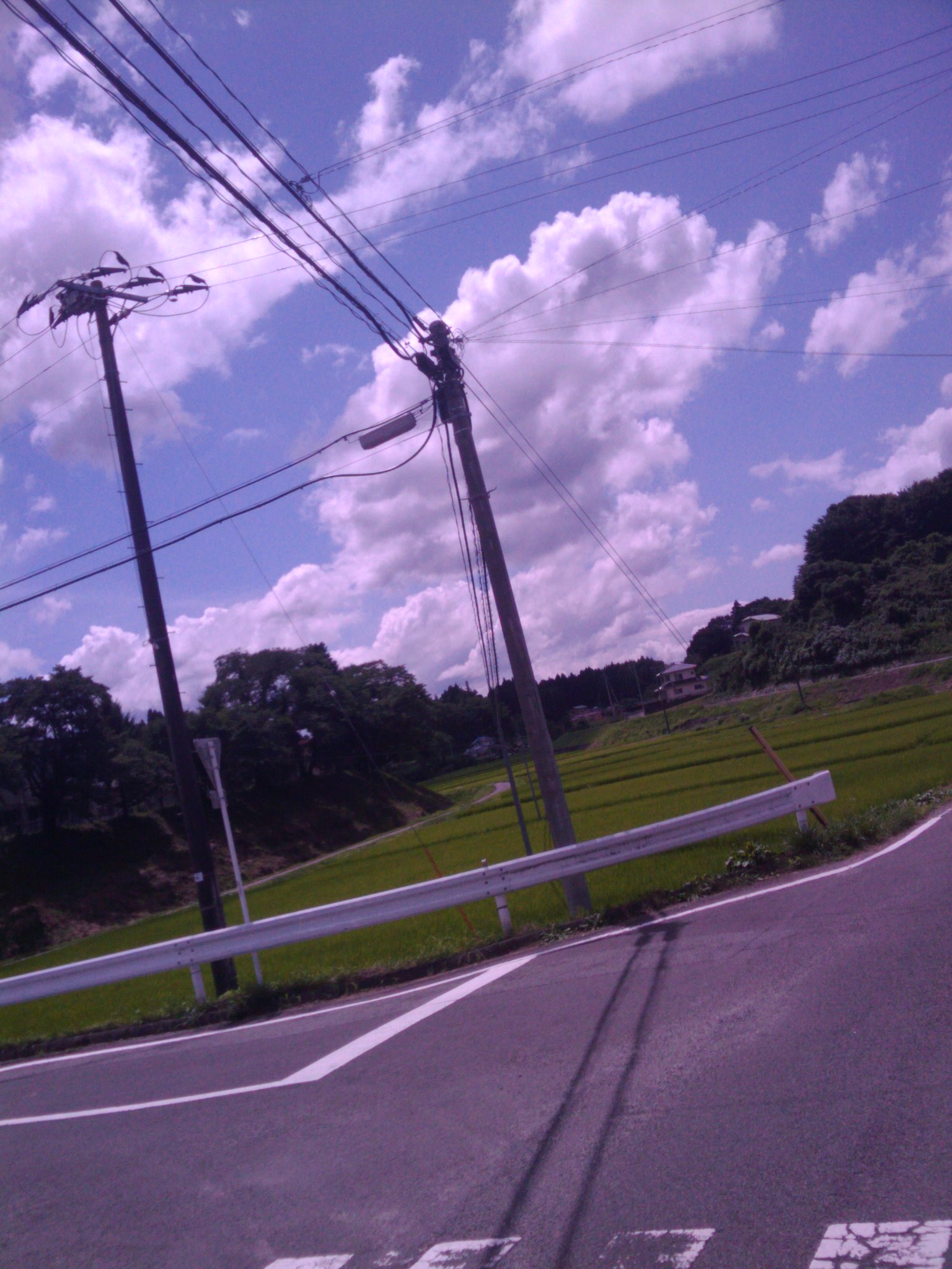 d0119217_1281171.jpg
