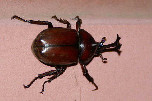 f0212217_612925.jpg
