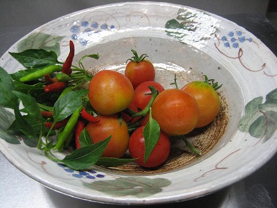 f0139520_23461039.jpg