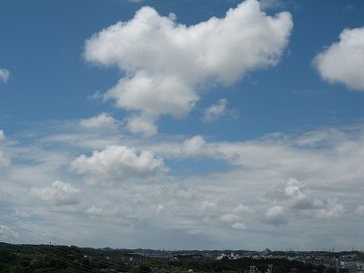 a0111621_11171178.jpg