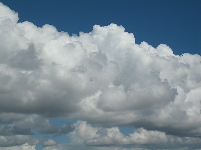 a0111621_1120549.jpg
