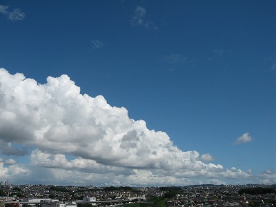 a0111621_1124357.jpg