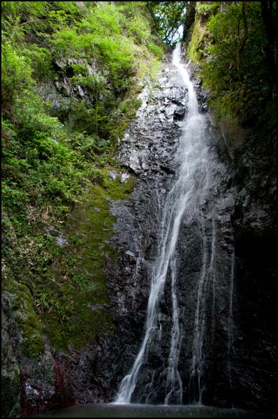 d0029829_2084370.jpg