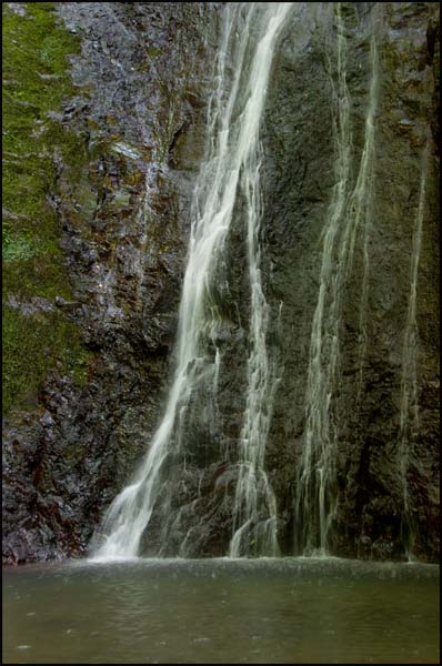 d0029829_208536.jpg